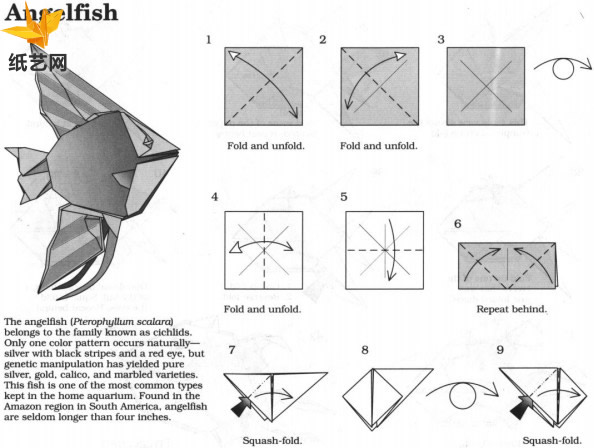 折纸鱼大全威廉希尔公司官网
折纸威廉希尔中国官网
教你制作出精美的折纸鱼