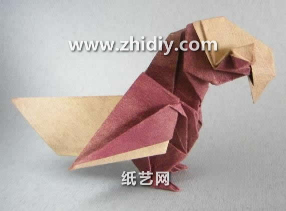 折纸大全威廉希尔公司官网
折纸视频威廉希尔中国官网
手把手教你制作折纸鹦鹉