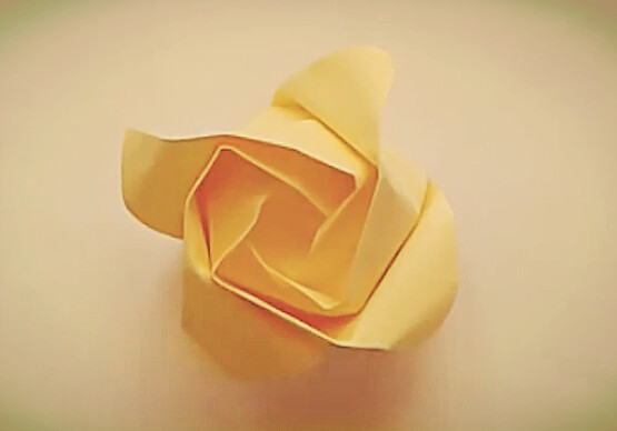 折纸玫瑰花的折法大全之简单威廉希尔公司官网
折纸玫瑰如何折