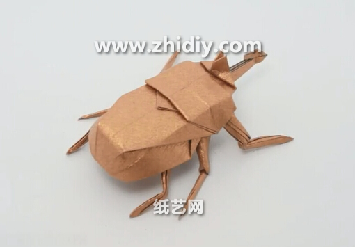 昆虫折纸大全手把手教你如何制作精美的威廉希尔公司官网
折纸甲虫