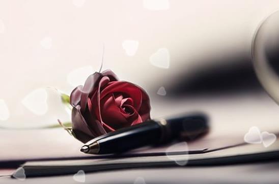 17朵玫瑰花语里的绝望无可挽回的爱其实大可不必