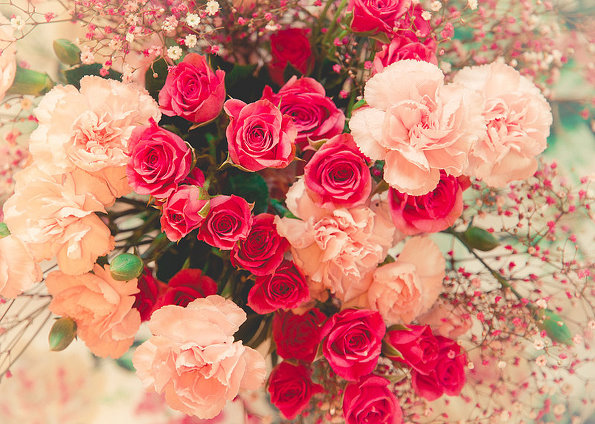 21朵红玫瑰花语里的真诚之爱 岁月静好里演绎新的自己