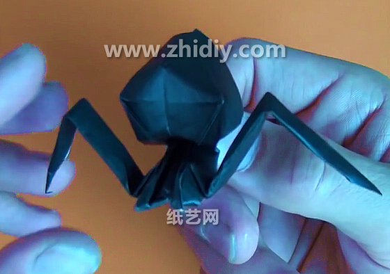 万圣节威廉希尔公司官网
折纸蜘蛛手把手教你制作仿真折纸蜘蛛