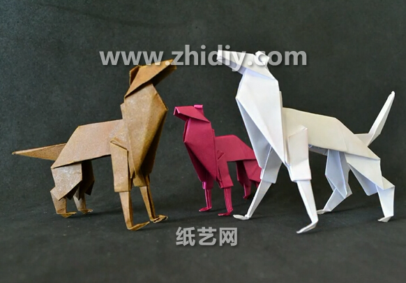 威廉希尔公司官网
折纸狗狗折法视频威廉希尔中国官网
手把手教你学习制作折纸狗狗