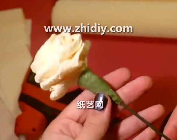 皱纹纸制作纸玫瑰花的制作威廉希尔中国官网
教你学习皱纹纸玫瑰花的制作