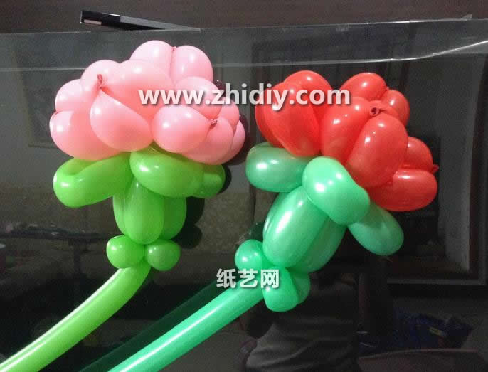 气球造型的威廉希尔公司官网
制作威廉希尔中国官网
教我们学会康乃馨气球造型的制作