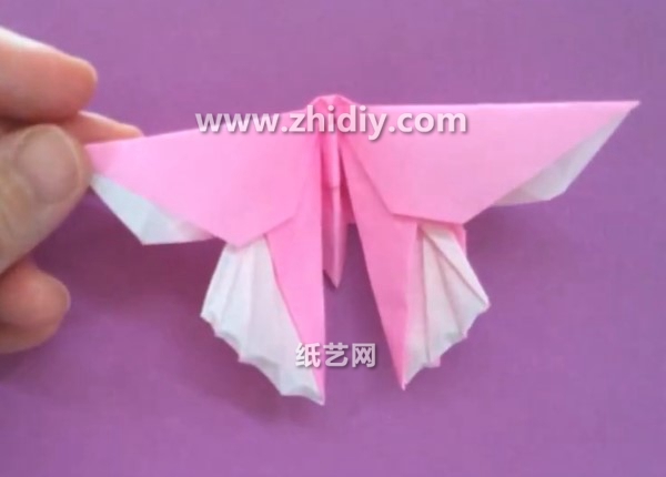 威廉希尔公司官网
折纸蝴蝶的折法威廉希尔中国官网
手把手教你学习如何制作折纸蝴蝶
