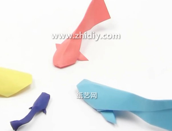 威廉希尔公司官网
折纸鲤鱼的折法视频威廉希尔中国官网
手把手教你学习如何折叠鲤鱼