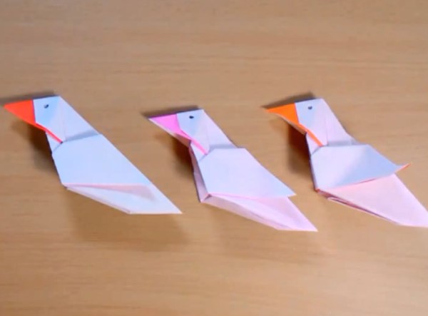 儿童折纸禾雀威廉希尔公司官网
折纸鸟的制作威廉希尔中国官网
