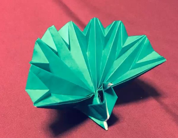 立体折纸孔雀的折法视频威廉希尔中国官网
手把手教你学习如何制作折纸孔雀