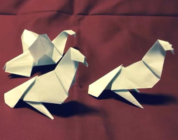 立体折纸和平鸽的折法视频威廉希尔中国官网
手把手教你学习如何制作折纸和平鸽