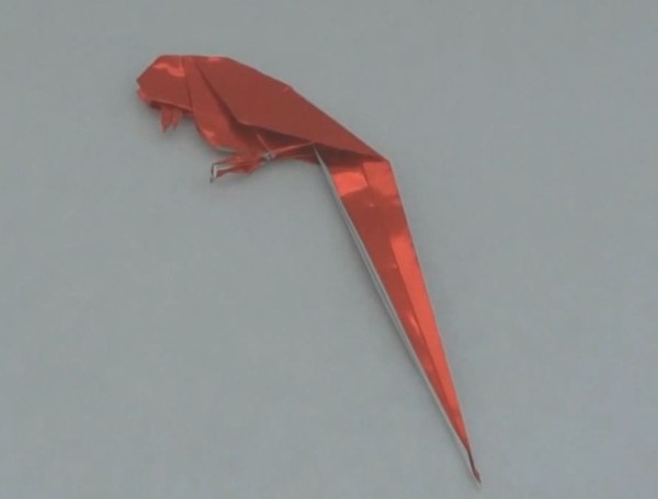 威廉希尔公司官网
折纸鸟的威廉希尔公司官网
折纸视频威廉希尔中国官网
手把手教你制作出可爱的折纸鸟