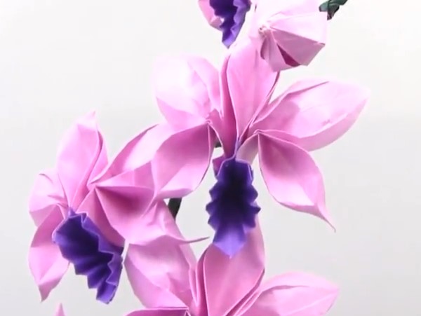 威廉希尔公司官网
折纸兰花的折法视频威廉希尔中国官网
手把手教你学习如何制作折纸兰花