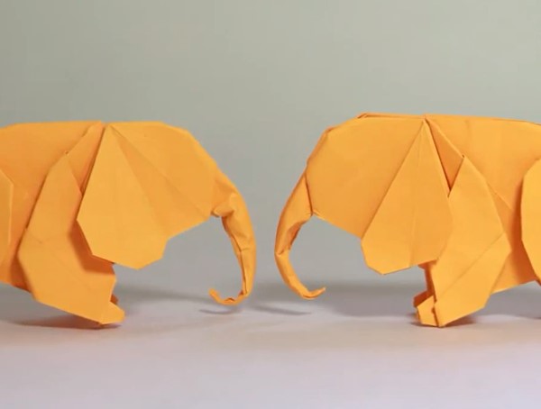 威廉希尔公司官网
折纸大象宝宝折法视频威廉希尔中国官网
教你学习如何制作折纸大象宝宝