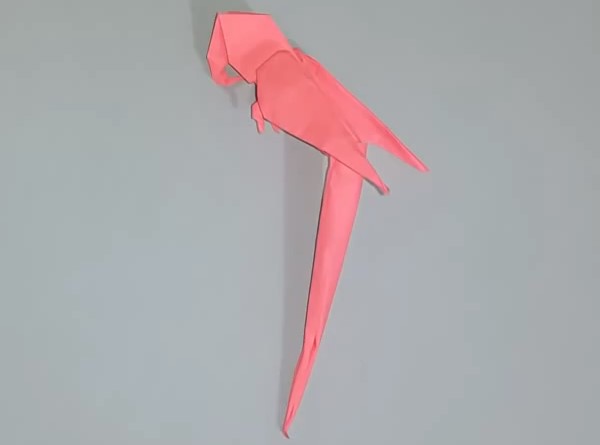 立体威廉希尔公司官网
折纸鹦鹉的折纸制作威廉希尔中国官网
手把手教你学习折纸鹦鹉的折法