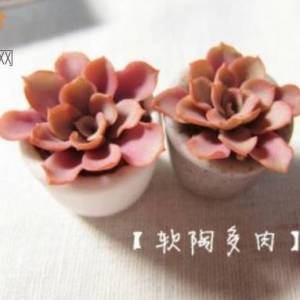 陶艺威廉希尔中国官网
软陶多肉植物DIY制作威廉希尔中国官网
