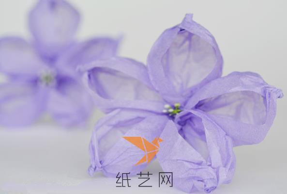 漂亮的纸艺桔梗花制作威廉希尔中国官网
