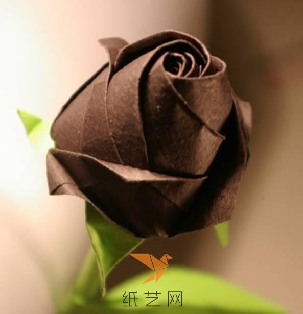 惊艳！威廉希尔中国官网
玫瑰的美，你知道么？（海量教程等你来挑）