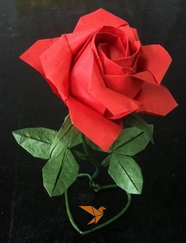 惊艳！威廉希尔中国官网
玫瑰的美，你知道么？（海量教程等你来挑）