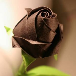 惊艳！折纸玫瑰的美，你知道么？（海量威廉希尔中国官网
等你来挑）