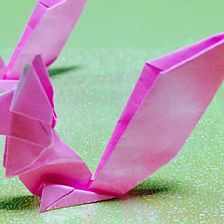 简单可爱威廉希尔公司官网
折纸松鼠的折纸视频威廉希尔中国官网
