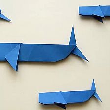 儿童折纸鲸鱼的折纸视频威廉希尔中国官网
