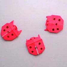 儿童折纸可爱七星瓢虫的折纸视频威廉希尔中国官网
