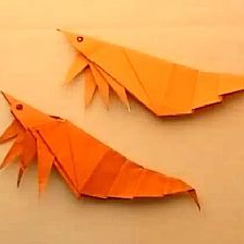 儿童折纸龙虾的威廉希尔公司官网
折纸制作威廉希尔中国官网
