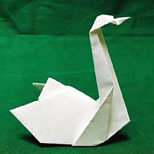 儿童折纸天鹅的立体折纸制作威廉希尔中国官网
