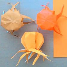 儿童折纸章鱼的制作方法威廉希尔中国官网
教会你折叠可爱章鱼