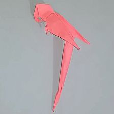 立体折纸鹦鹉如何折叠