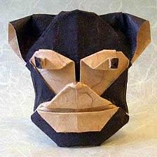 折纸猴子面部折纸图谱威廉希尔中国官网
—Robin Glynn