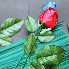 纸艺花DIY基本材料—花杆,绿铁丝,花艺铁丝