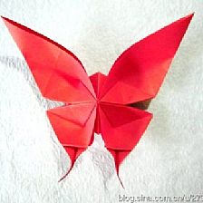 如何折纸蝴蝶之折纸凤尾蝶威廉希尔中国官网
图解
