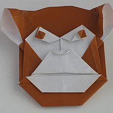 折纸猴子脸折纸大全 图解威廉希尔中国官网
