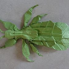 昆虫折纸大全图解之小红原创折纸叶虫威廉希尔中国官网
