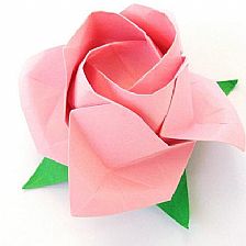 威廉希尔中国官网
玫瑰的折法手把手教你学习福山玫瑰的折法