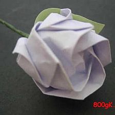 折纸白玫瑰让纯洁白玫瑰花语宣读你的爱情