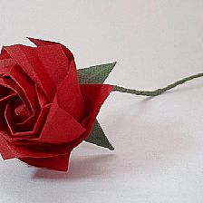 父亲节适合送给父亲做礼物的折纸玫瑰花威廉希尔中国官网
大全
