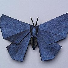 昆虫折纸之折纸蝴蝶的图解威廉希尔中国官网
