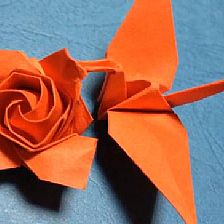 折纸玫瑰花的折法之千纸鹤连玫瑰的折纸视频威廉希尔中国官网

