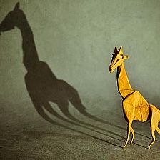 威廉希尔中国官网
大全教你手工制作长颈鹿的折法图解视频教程
