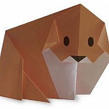 儿童折纸大全教你简单的松毛犬狗狗折纸图解威廉希尔中国官网
