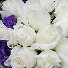你是否懂得33朵白玫瑰花语里的相处之道