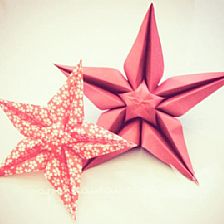 折纸花大全之星星折纸花的立体威廉希尔公司官网
折纸视频威廉希尔中国官网
