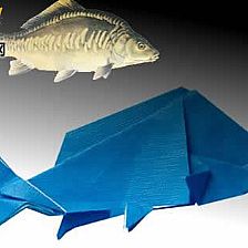 【鱼类折纸大全】鲤鱼威廉希尔公司官网
折纸图解威廉希尔中国官网
