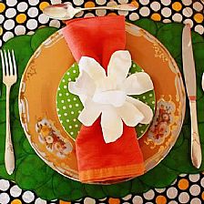 威廉希尔中国官网
花手工制作大全教程教你用一次性纸餐盘制作精美木兰花