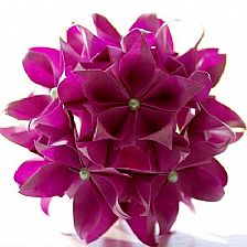 折纸大全之樱花花球灯笼的威廉希尔公司官网
折纸视频威廉希尔中国官网
