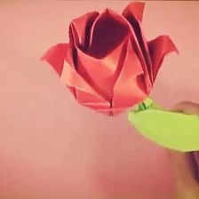 简单玫瑰花的折法视频—手工威廉希尔中国官网
玫瑰花的简单折法大全