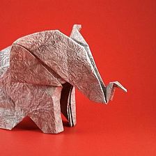 折纸大全之折纸大象的简单威廉希尔公司官网
折纸视频威廉希尔中国官网
